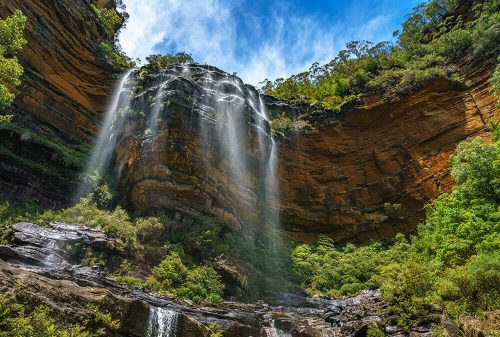 Wentworth Falls cascading over sandstone cliffs into a lush forested gorge.